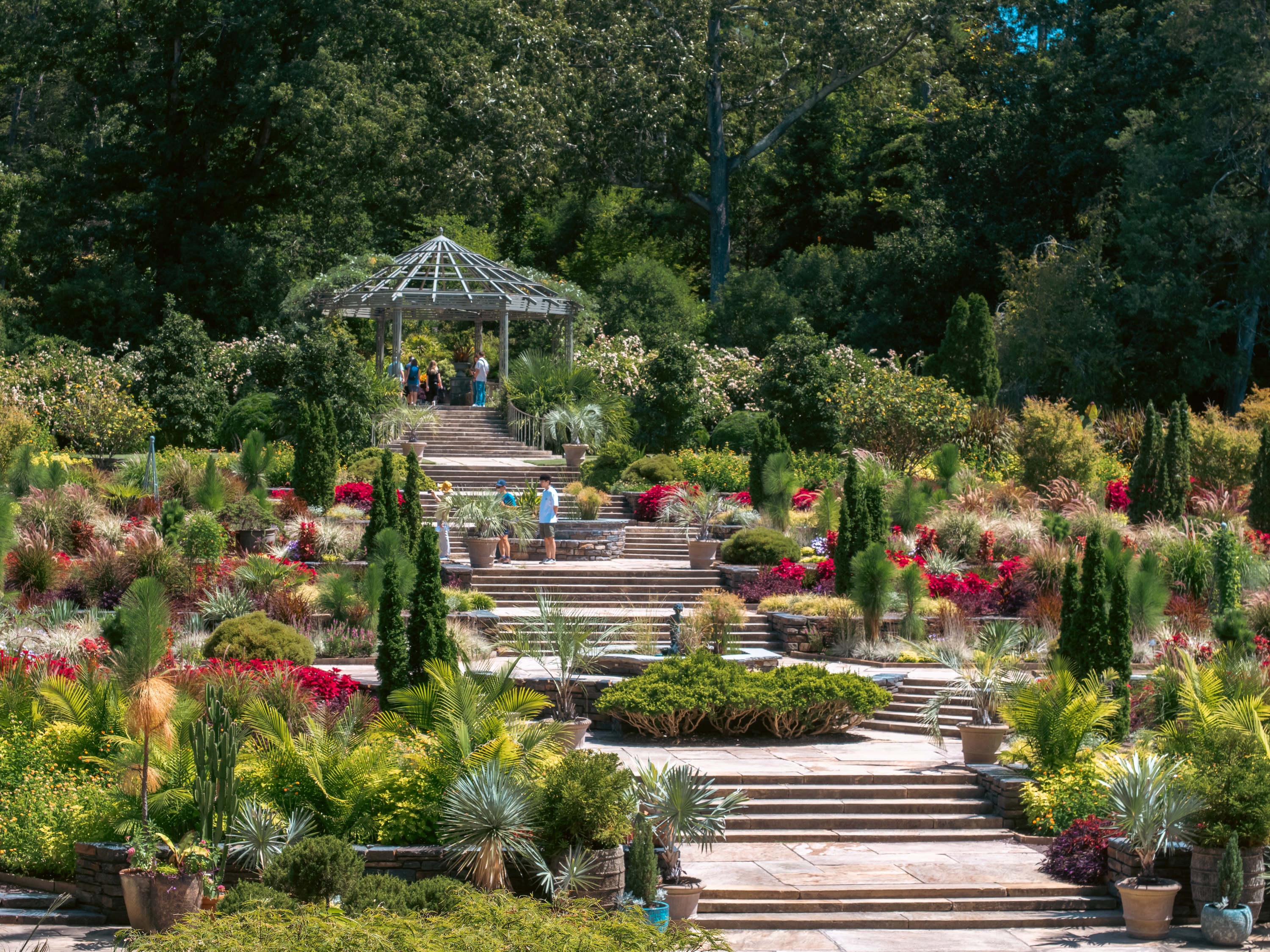 The Terrace Gardens at Sarah P. Duke Gardens. Photo by Clarence Burke 2025