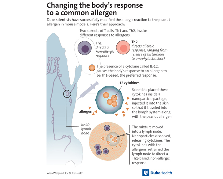 How Food Dye Impacts the Immune Response - The Wellness Way