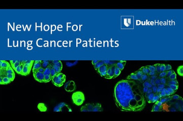 Lung Cancer Cells Of Origin