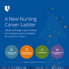 Graphic with Career Ladder Areas 