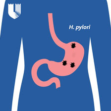 H. pylori for instagram 2022