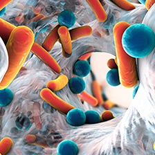 Colorful image of tissue and microbes