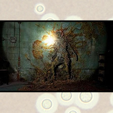 Image of zombie fungus from HBO Last of Us TV show