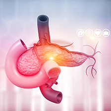 Image of pancreas and tissue