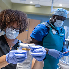 Colleagues work in a lab setting