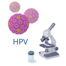 microscope and hpv virus