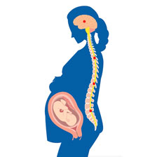animated silhouette of a pregnant person