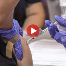 Vaccine