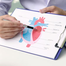 hand with a pen pointing at an anatomical image of a heart 