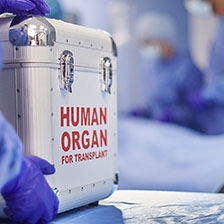 Hands holding a container that says HUMAN ORGAN FOR TRANSPLANT