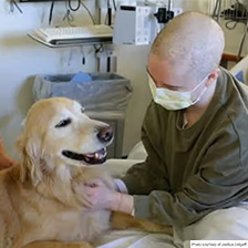 Therapy dog sits with patient who is masked in a hospital room