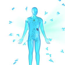 Graphic representation of human body, antibodies surrounding the body