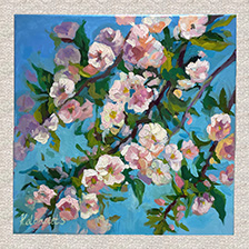 White and pink flowers against a blue background