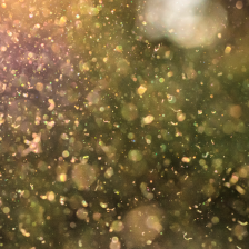 yellow pollen floating through the air