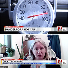 Thermometer pointing to 80 degrees, image of Dr. Kitty O'Hare in an office setting